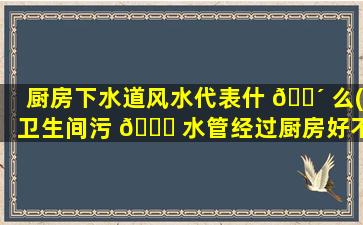 厨房下水道风水代表什 🐴 么(卫生间污 🐝 水管经过厨房好不好)
